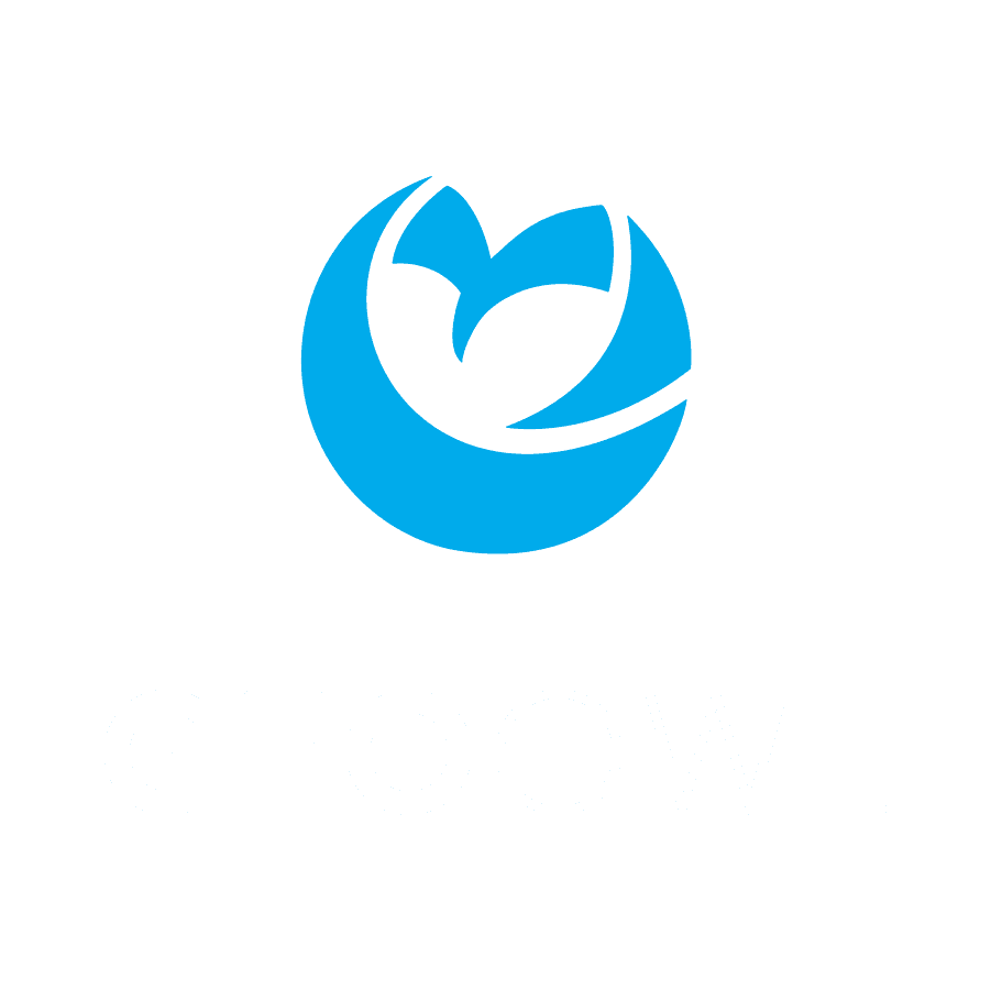 Geo Owl